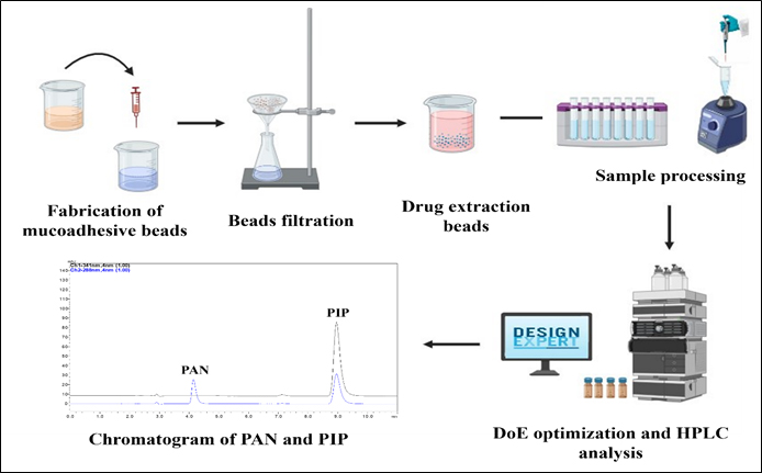 Graphical Abstract